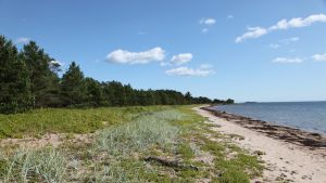 Furuvikområdet är relativt nytt och ligger nära både naturen och centrum. Furuvik strand