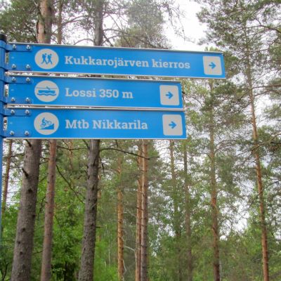 Sinisiä reittimerkkejä metsässä.