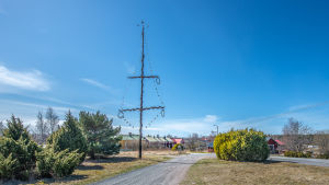 Fjolårets midsommarstång på Hitis har överlevt vintern/foto Kaj-Ole Dahlström. Hembygdens Vänner arrangerar resning av midsommarstång på kyrkbacken i Hitis.