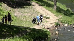 En barnfamilj har promenerat ner till floden Vilnia, som flyter genom staden Vilnius. En familj med barnvagn har promenerat ner till floden Vilnia, som flyter genom staden Vilnius.