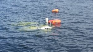 M/s Mässkär försvinner under ytan utanför Ådön. M/s Mässkär sjunker utanför Ådön i Jakobstad.