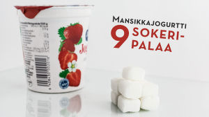 Tämä tavallinen mansikkajogurttipurkki sisältää lisättyä sokeria kuusi sokeripalaa. Lisäksi siinä on kolmen sokeripalan verran maitoa ja marjoja. mansikkajogurtti ja sokeripalat