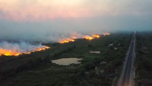 Skogsbrand i Pantanal i Brasilien