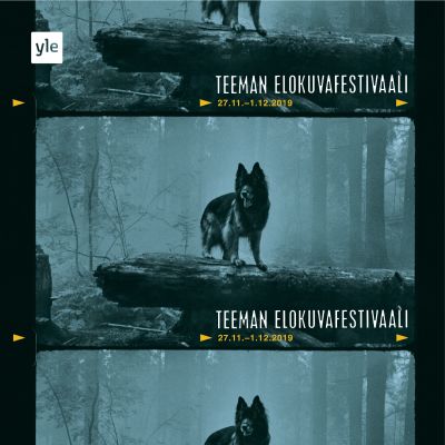 Koira metsässä kaatuneen, lahon puunrungon päällä. Teeman elokuvafestivaalin 2019 juliste.