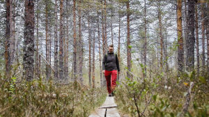 Eräopas Minna Jakosuo retkeilyvaatteissa kävelee pitkospuita kohti kameraa, ympärillä mäntymetsää