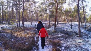 Tornberget består av kargt bergsområde och tallskog. Tornberget består av kargt bergsområde och tallskog.