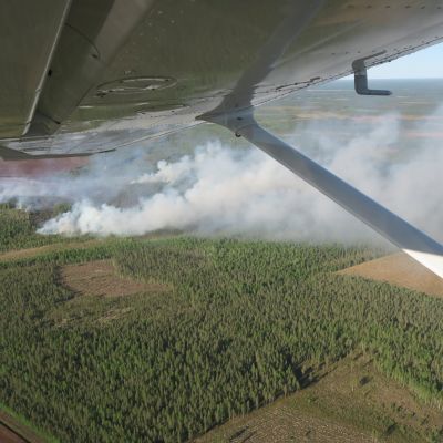 Kaustisen Lähdenevan turvepalo alkuvaiheessaan palovalvontalentokoneesta kuvattuna.