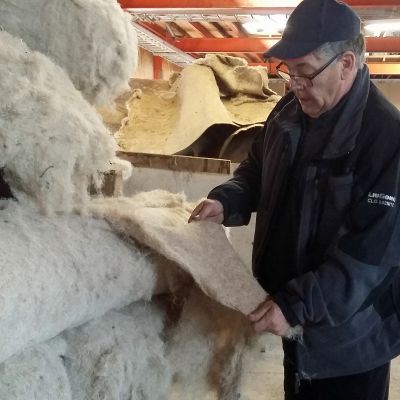 Kauhavalanen Juha Mäkipelkola on kymmenen vuoden aikana opetellut tuntemaan hampun sen viljelystä tuotteistamiseen asti, kantapään kautta.