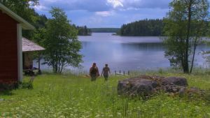 Aurinkoisena kesäpäivänä voi nähdä harvinaisen kalliosinisiiven torpan vieressä Linnansaaressa. Två personer på en äng i Linnansaari nationalpark. En sjö syns i bakgrunden.