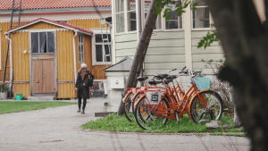 Oranssinvärisiä pyöriä parkissa puutalon vierellä.