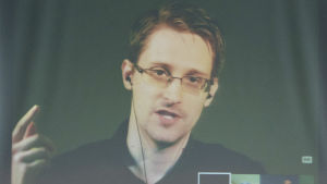 Visselblåsaren Edward Snowden. Edward Snowden deltar i en videosänd presskonferens i Europarådets byggnad i Strasbourg den 23 juni 2015.