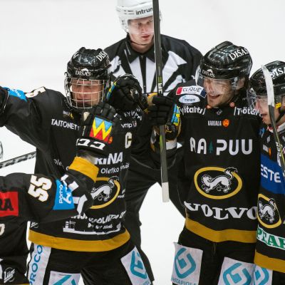Kärpät