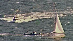Sjöbevakare bordar segelbåten. En segelbåt till höger och två motorbåtar till vänster.