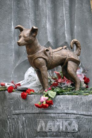 Lajka står staty i Moskva. Staty av hunden Lajka. Statyn finns i Moskva.