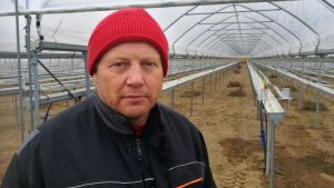 Jari Suominen måste minska produktionen på grund av de stängda gränserna. Jari Suominen i röd mössa, i ett tomt, enormt växthus.