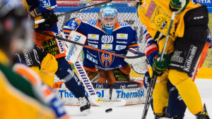 Dominik Hrachovina med fullt fokus på pucken. Dominik Hrachovina med fullt fokus på pucken.