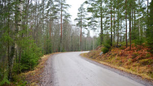 Krematoriet planeras i skogen invid Utegårdsvägen. Den exakta adressen är lite oklar. En högerkurva på en lerig sandväg. På båda sidor om vägen gran- och tallskog.