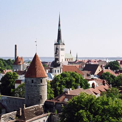 Vy över gamla stan i Tallinn från Domberget (Toompea)