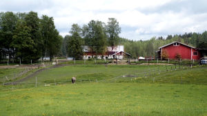 Saarijärvellä Tarvaalan kylässä sijaitsevalla Peltoniemen tilalla on saunotettu hevosia Jouko Tarvaisen toimesta jo vuosia. Jouko Tarvaisen hevossauna sijaitsee Tarvaalassa Saarijärvellä.