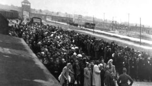 Ett fotografi från Auschwitz-Birkenau. Ett fotografi från Auschwitz-Birkenau.