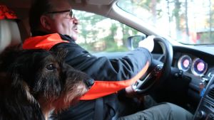 Fromholz säger att han under sin 7 kilometer långa hemresa sett lika många vitsvanshjortar vid vägkanten. Sune Fromholz med sin tax i bilen.