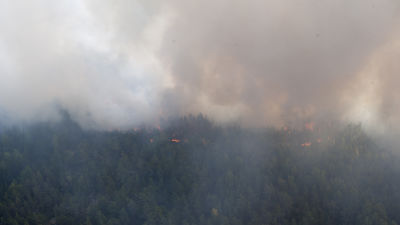 Vy över skogsbrand med kraftig rökbildning.