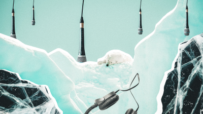 Jääkarhu, mikrofoneja ja kuulokkeet jäätiköllä.