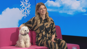 Janni Hussi ja hänen koiransa Harri istuvat Puoli seitsemän ohjelman vaaleanpunaisilla sohvilla. Harri on toy-villakoira.