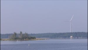 Skarvholmen i södra stadsfjärden i Vasa Skarvarna har hittat till Juckasgrynnan i stadsfjärden i Vasa.
