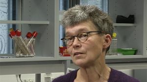 Sinikka Pelkonen är professor vid livsmedelssäkerhetsverket Evira. Sinikka Pelkonen är professor vid livsmedelssäkerhetsverket Evira.