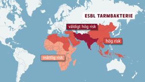 Risken är störst att bli smittad på Indiska halvön, Sydostasien, Mellanöstern och i Afrika. I de vita områden är risken för smitta låg. esbl-riskzonskarta