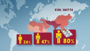 Risken för indienresenären att bära på ESBL. 24% trots att man inte hade magsjuka på resan, 47% om man hade diarré och 80% om man tog antibiotika mot diarrén. Karta över esbl-smitta.
