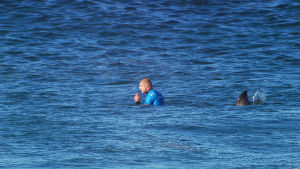 Surfaren Mick Fanning med en olycksbådande ryggfena bakom ryggen.
