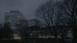 Social- och hälsovårdsverket jobbar på att förbättra den svenska servicen inom barnskyddet. Social- och hälsovårdsverket, Helsingfors stad