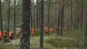 Vintern 2015 fälldes 17 vargar medan 43 vargar sköts vintern därpå. Vargjägarna i Virmo hade problem med snön som smälte bort i februari.
