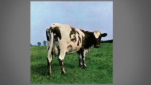 En ko pryder Pink Floyds skiva Atom heart mother Omslaget till Pink Floyd-skivan Atom Heart Mother.