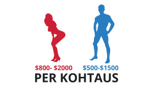 Pornovisa: palkkiot