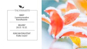 Luontovuoden talvihaasteessa teemana on Pimeys. Sillä voidaan tarkoittaa mitä vaan vuorokaudenajasta mielentilaan. Talvi kuorruttaa luonnon kuuralla ja lumella. Kuvauskohteeksi voi valikoida vaikkapa päivittäiset tapahtumat lintulaudalla, eläinten jäljet lumessa tai revontulet. Haasteeseen saavat osallistua kaikki ikään ja kuvauskalustoon katsomatta. Luontovuoden talvihaaste pähkinänkuoressa