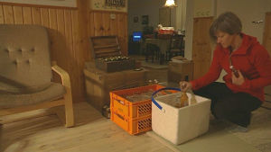 Packning pågår. Det var inte en lugn stund hemma hos Gunnel efter vinsten. Gunnel sätter flaskor i en låda