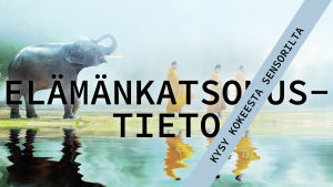 Kysy sensorilta elämänkatsomustiedon yo-kokeesta.