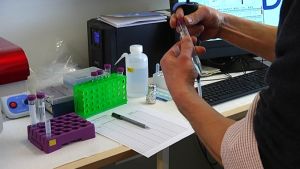 Laboratorieproven visar eventuella förändringar i havsmiljön. prover analyseras i laboratorium