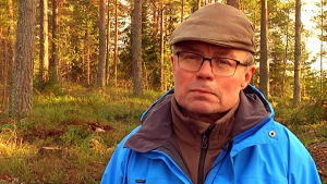 Skogsbruksingenjör Carl-Johan Jansson tror att de som pratar om kontinuerlig beståndsvård saknar praktisk insyn. Raseborgs skogsbruksingenjör Carl-Johan Jansson.