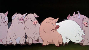 Sikoja animaatioelokuvassa Eläinten vallankumous.