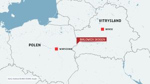 Skogen omfattar en närapå lika stor del i Polen som i Vitryssland. Skogen omfattar en närapå lika stor del i Polen som i Vitryssland.