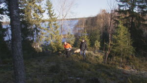Stefan Karell granne till tomterna i Skinnarvik kollar in området med reportern. Stefan Karell granne till tomterna i Skinnarvik kollar in området.