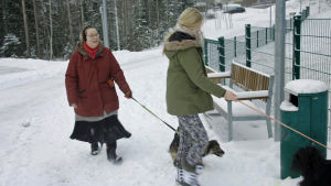 Tiina Nöjd har tre barn och två rumänska gatuhundar. Hennes första rumänska hund dog i en svår infektion. Tiina Nöjd har tre barn och två rumänska gatuhundar. Hennes första rumänska hund dog i en svår infektion.
