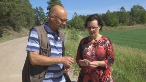 Norrstrandsvägen är full med stenar Sigbritt Asplund och redaktör Kjell Lindroos på Norrstrandsvägen i Nagu