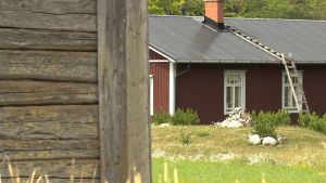 Arkivbild. Finns det platser i skärgården där fler kunde slå sig ner? Ett rött hus med vita knutar skymtar bakom en grå lada.