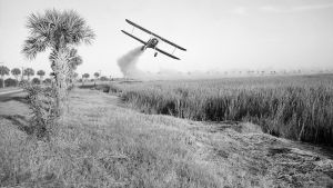 På 1950-talet använde man sig av flygplan för att bespruta åkrar med DDT. På 1950-talet använde man sig av flygplan för att bespruta åkrar med DDT.