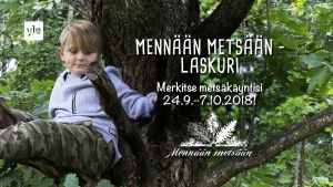 Lapsi istuu puussa.